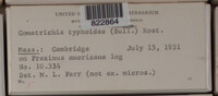 Image Associated With the Occurence